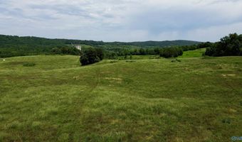 120 Carnes Chapel Rd, Attalla, AL 35954