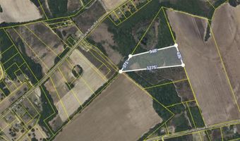 Tbd Fuller Pond Road, Barnwell, SC 29812