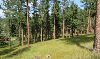 Lot 18 Placer Place, Hill City, SD 57745