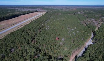7 90 Acres-TBD Puncheon Creek Dr, Andrews, SC 29510