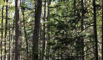 Back Searsport Road, Belfast, ME 04915