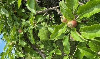 45 Freedom Rd, Belgrade, ME 04917