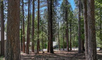1955 Seminole Way, Arnold, CA 95223