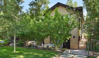 612 W Francis St, Aspen, CO 81611