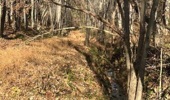 0 Lot 2B Police Tower Rd Lot 2B, Appomattox, VA 24522