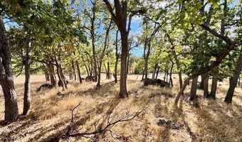 271 Cove Rd, Ashland, OR 97520