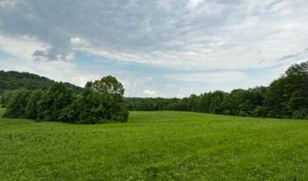 1000 Mobley Rd, Olive Hill, KY 41164
