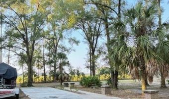 6389 6th Pl, Bell, FL 32619