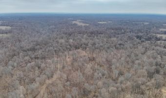 Sandy Branch Road, Bardwell, KY 42023