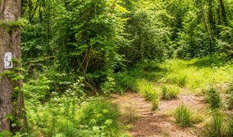 Belle Gardner Road, Amite, LA 70422