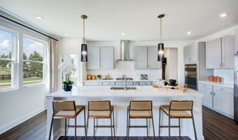 3245 Shannon Woods Ln, Apex, NC 27523