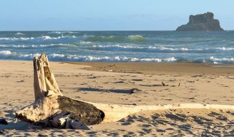 80358 BIG CEDAR Dr, Arch Cape, OR 97102