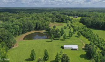 1144 Little Big Mound Rd, Bentonia, MS 39040