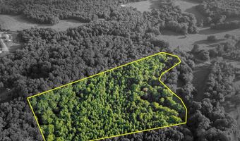 Co Rd 88, Anderson, AL 35610