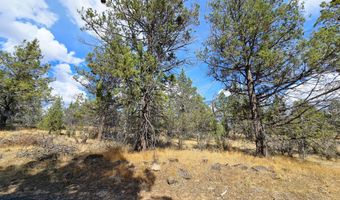 Canvasback Drive 32, Bonanza, OR 97623