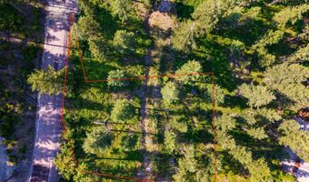 24 Bridle Ct, Bigfork, MT 59911