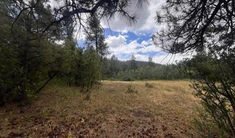 3230 Bear Creek Rd, Bayfield, CO 81122