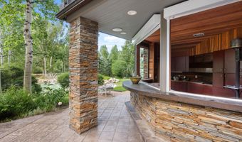 645 Willoughby Way, Aspen, CO 81611