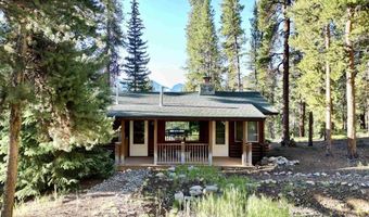 110 Pine Tree Ln, Almont, CO 81210