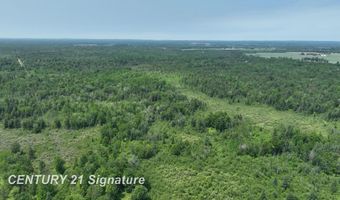 6002 Wildwood, Alger, MI 48610