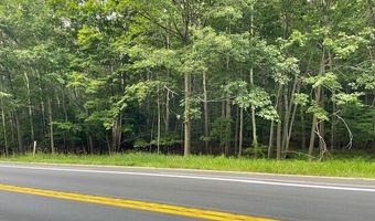 M22 Northwood Hwy, Arcadia, MI 49613