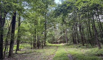 Pine Lodge Road, Batesville, MS 38606