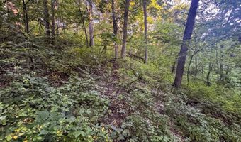 625 Th Ave, Albia, IA 52531