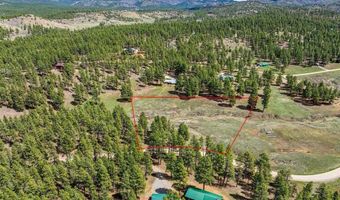 841 Beaver Creek Dr, Bayfield, CO 81122