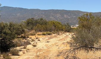 90002 Wellman, Anza, CA 92539
