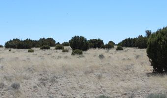 80 County Road 8620, Concho, AZ 85924