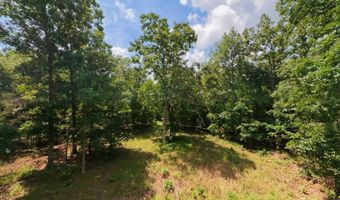 County Road 200, Alton, MO 65606