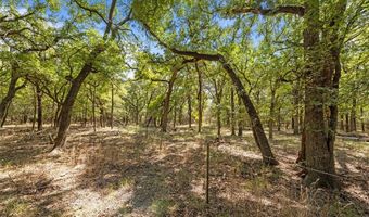 Tbd HCR 2205, Aquilla, TX 76622