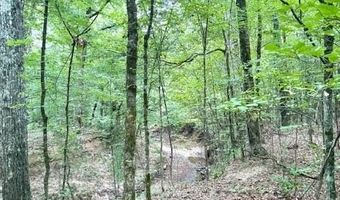 000 Highway 615 Hwy, Haynesville, LA 71038