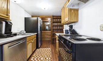 209 E Reds Rd Guest House, Aspen, CO 81611