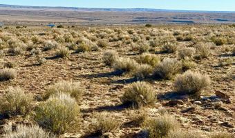 N7009 40 Acres, Chambers, AZ 86502
