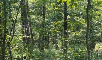 Cascade Mountain Road, Amenia, NY 12501