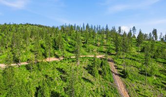 NNA Stone Rd Lot 2 20.0 Acres, Blanchard, ID 83804