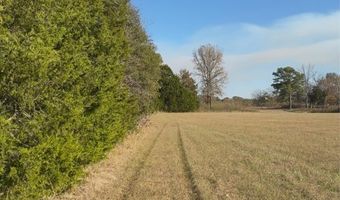 County Road 215, Abbeville, MS 38601