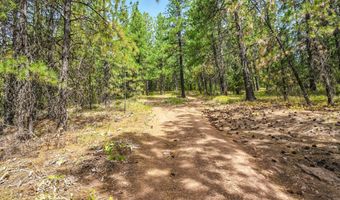 NNA USFS 2550 40 acres, Blanchard, ID 83804