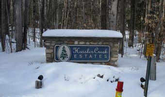 11190 Hassler Woods Trl, Alanson, MI 49706