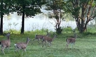 2897 N Lakeside Cir, Atoka, OK 74525