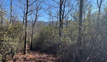 1834 Bristol Ave, Andrews, NC 28901
