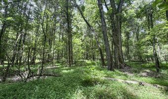 Pine Lodge Road, Batesville, MS 38606