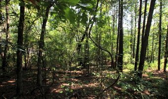 000 Sorrell Rd, Benton, AR 72015