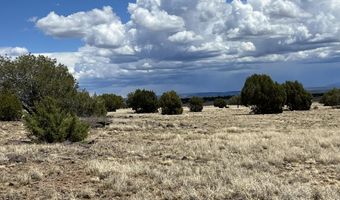 70 Off Of Volcano, Ash Fork, AZ 86320