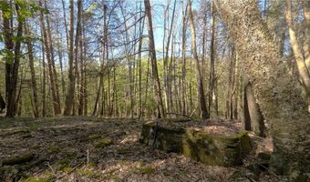 East River Road lot 5, Andes, NY 13731