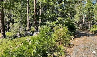 3229 Ponderosa Rd, Arnold, CA 95223