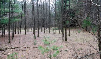 255 45 Ac Dover Dr, Adams, WI 53910