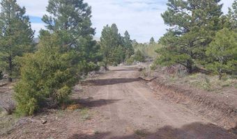 01195 Rito Hondo Rd, Antonito, CO 81120