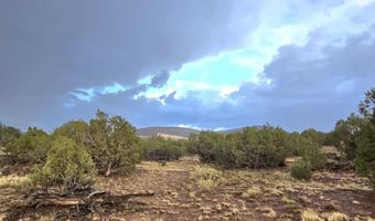 Pinon Valley Ranch lot 9, Concho, AZ 85924
